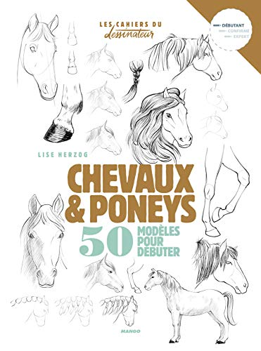 Chevaux & poneys